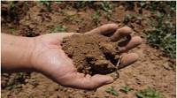 銅川市土壤微生物培養示範