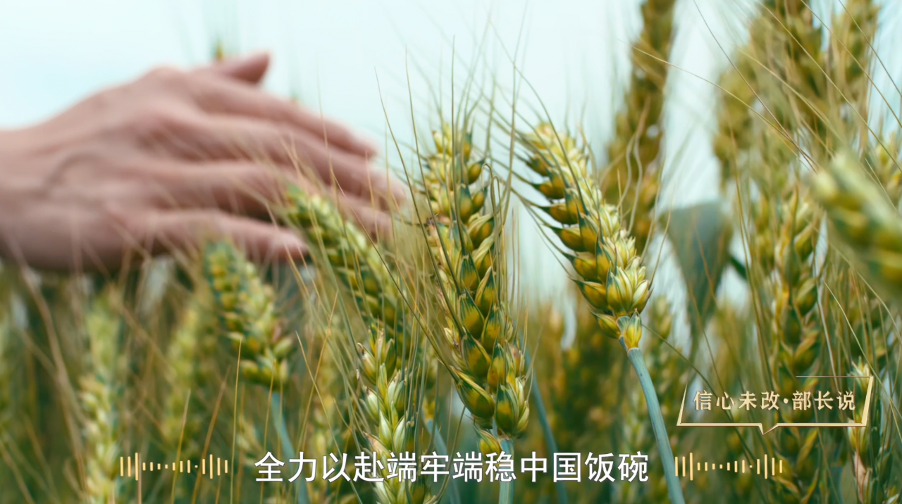 農業農村部長(cháng)唐仁健：未來5到10年(nián)，僅高(gāo)标準農田、設施農業等